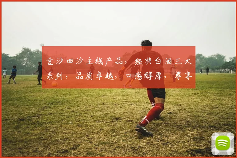 金沙回沙主线产品，经典白酒三大系列，品质卓越，口感醇厚，尊享生活之美，品味传承经典。