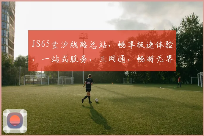 JS65金沙线路总站，畅享极速体验，一站式服务，三网通，畅游无界，轻松驾驭