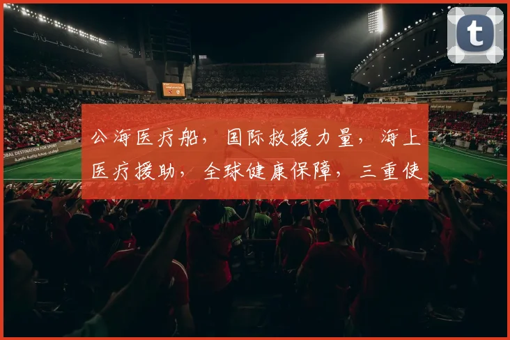 公海医疗船，国际救援力量，海上医疗援助，全球健康保障，三重使命，共筑生命防线