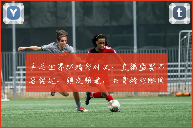 乒乓世界杯精彩对决，直播盛宴不容错过，锁定频道，共赏精彩瞬间